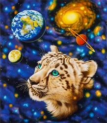 The Living Universe Cheetah,  space, planets