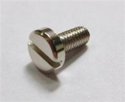 Screw