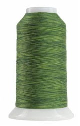 Variegated Polyester Thread 40wt 2000yd