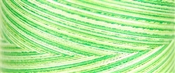Variegated  SPRING GRASS Quilting Thread