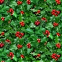 Green Holly 100% Cotton Fabric
