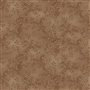 Brown Bag Vines