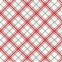 Multi Red & White Plaid