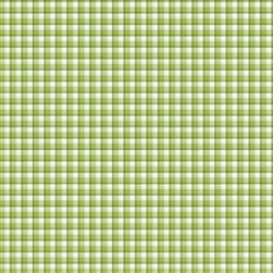 Plaid Green - Riley Blake Designs