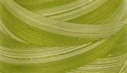 Variegated LIMEY GREEN Quilting Thread