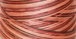 Variegated CANYON Quilting Thread