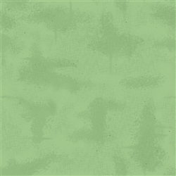 Shabby Color Green