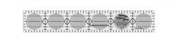 CGR106 Quilt Ruler 1in x 6in