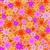 Paradise Heights Cutout Stars
