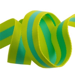 Lime and Turquoise Webbing