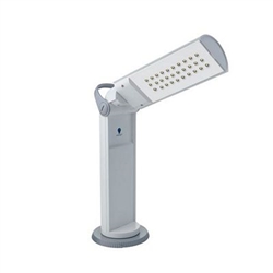 Portable Lamp