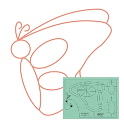 Butterflies in Flight Template  WT-BFLY  LOW