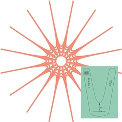 Spin An Echo Template #15
